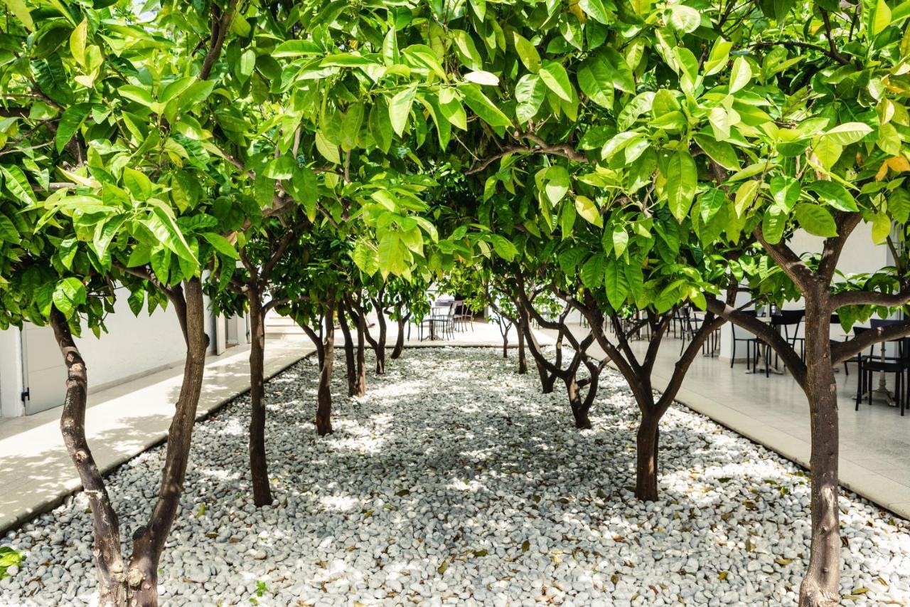 Seebay Hotel أنكونا المظهر الخارجي الصورة